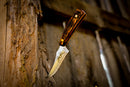 Bear and Son Cutlery 7 1/4" Stag Delrin Upswept Skinner + FREE One Year Subscription to Buckmasters Whitetail Magazine