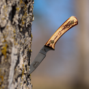 Life Hunt Special Offer: Bear and Son Cutlery + One Year Subscription to Buckmasters Magazine